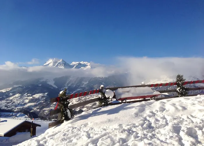 Penthouse - Sez Ner Appartement Obersaxen